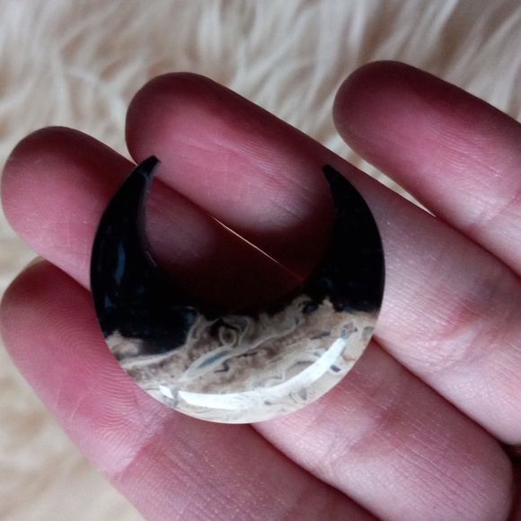 Petrified Wood Moons - Picture 6 of 6